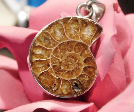 Ammonite Fossil Pendant Sterling Silver 925 Fossilized Shell Ancient Jurassic Fossil Slice Spiraling Nautilis Pendant Boho Hip Hipster Hippy