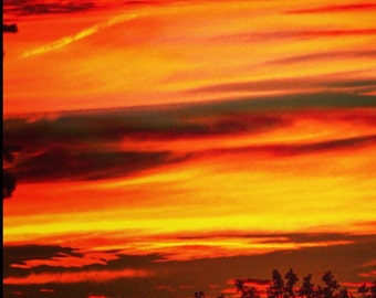 PHOOLPANKH SKY INDOWESTERN SET