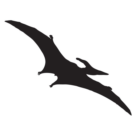 Pterodactil silhouette vinyl decal sticker funny car window