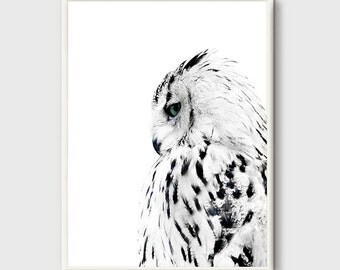 Owl Print, Black and white Photo, Owl modern poster, Animal Minimalist poster, wilderness Animals, wild animals, Owl Home Decor, Modern Art