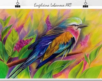 Pencils,Drawing,Realistic colored pencil drawing techniques,Fashionable bird in bright colors