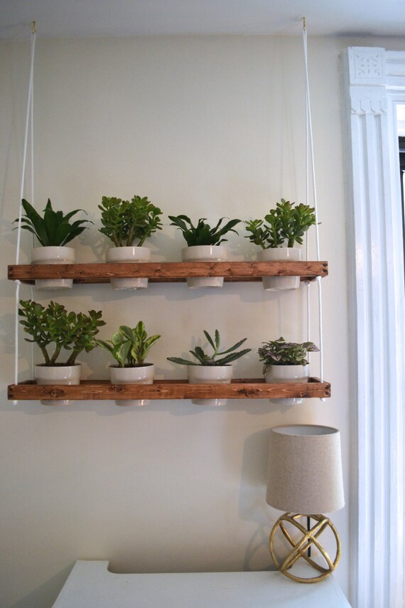 2 Tier Hanging Indoor Wall Planter made to order by 