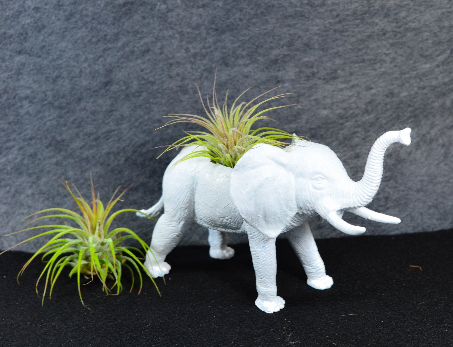 Any Color Elephant Planter with Plant Air Plant Incuded Low