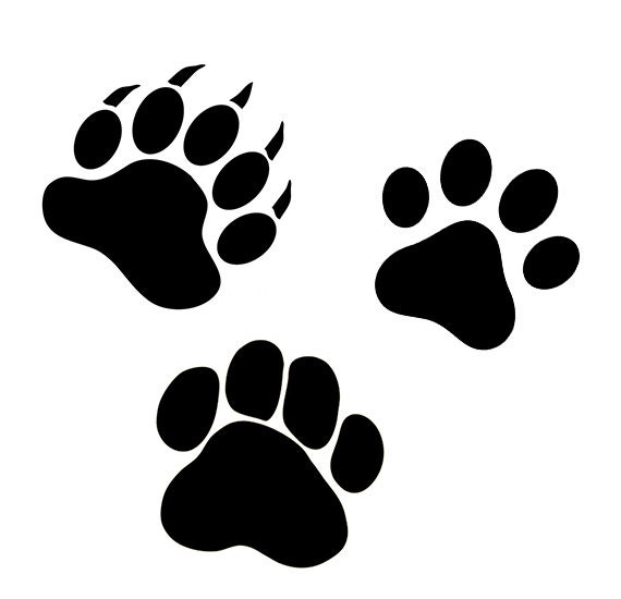 Free Free Free Cat Paw Svg Files 213 SVG PNG EPS DXF File