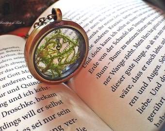 Glass locket with real moss in bronze