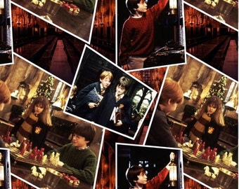 IN Stock Multi Harry Potter Scenes Digitally Printed