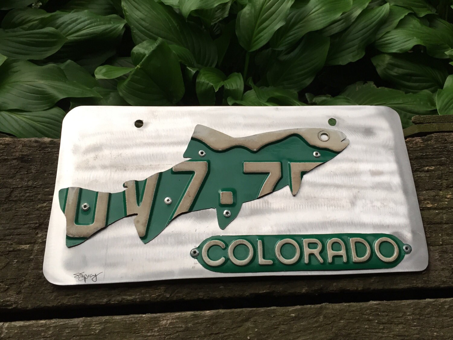 Colorado trout front license plate only.
