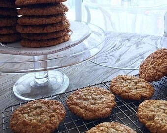 Oatmeal sugarfree healthy and low callorie cookies