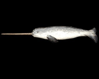 Whales, 5 ft. Narwhal Hand Carved by Gary Borgnis
