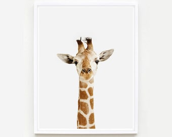 Baby Animal Nursery Art Print. Giraffe Little Darling. Safari Animal Print. Animal Wall Art. Animal Nursery Decor. Baby Animal Photo.