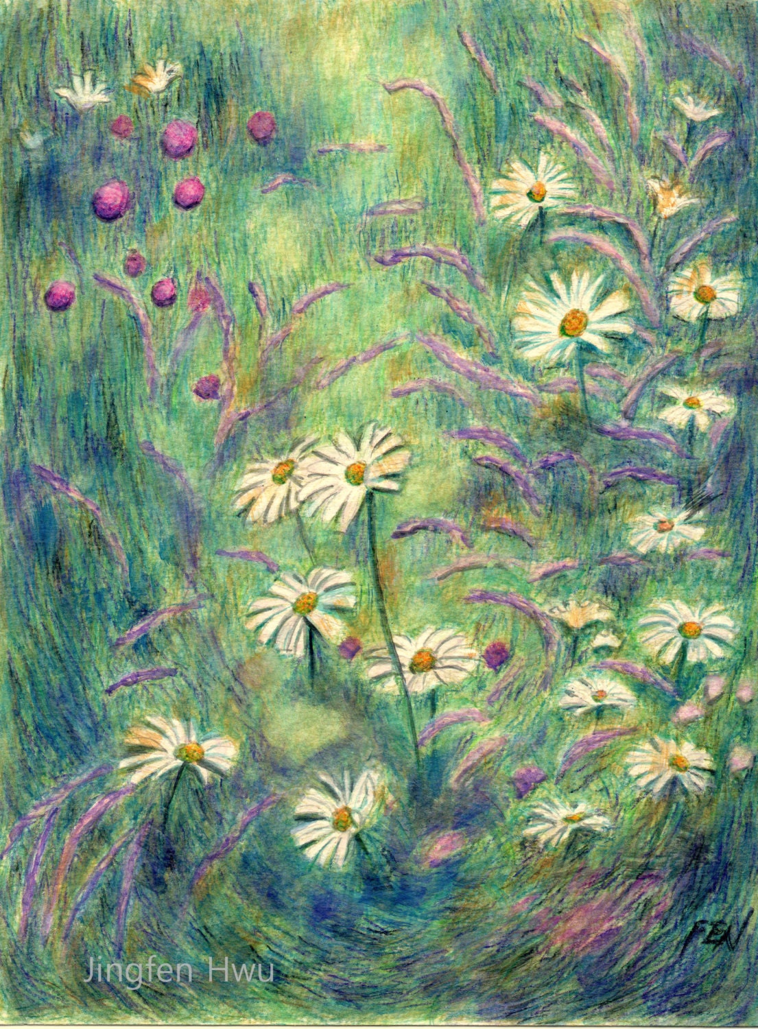 flower drawing daisy art at flower field floral