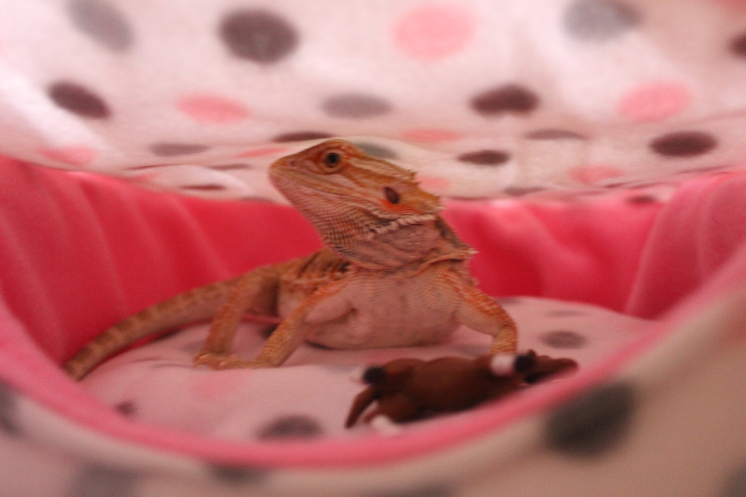 Cuddle Cup Fleece Pet Bed Bearded Dragon Bed fleece pet