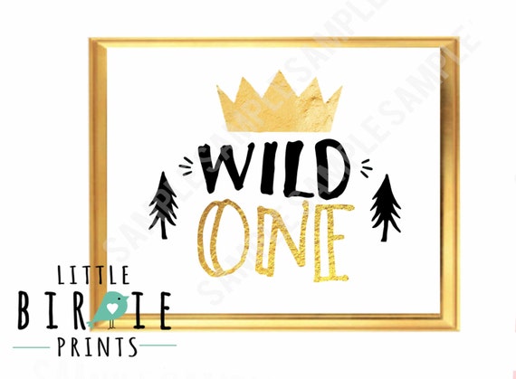  WILD  ONE  Birthday  party  decorations  Boy  Wild  one  birthday 