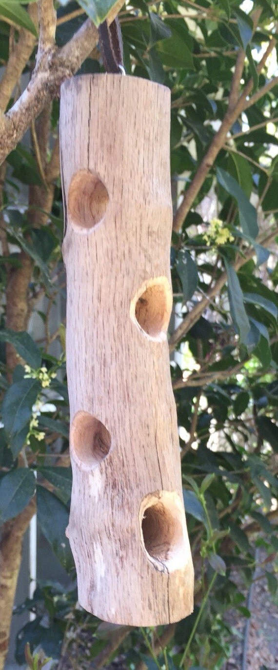 Driftwood Log Bird Feeder Rustic Log Suet Feeder Peanut