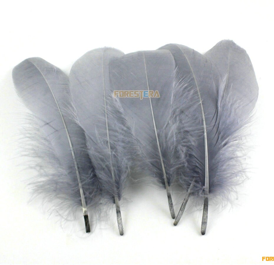 50 Pieces Gray Feather 1015cm YM109
