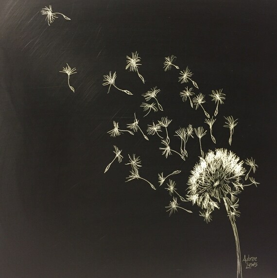 Dandelion dandelion art seeds scratchboard art 8x8 ORIGINAL