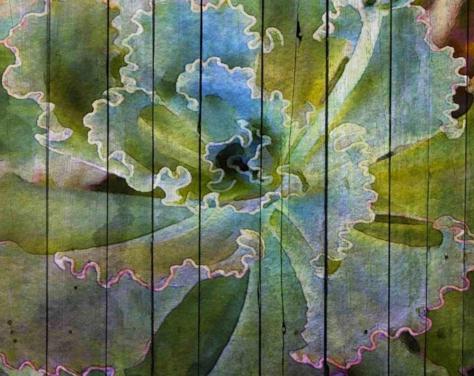 Blue Succulent. Canvas Print by Irena Orlov 36 x 24"