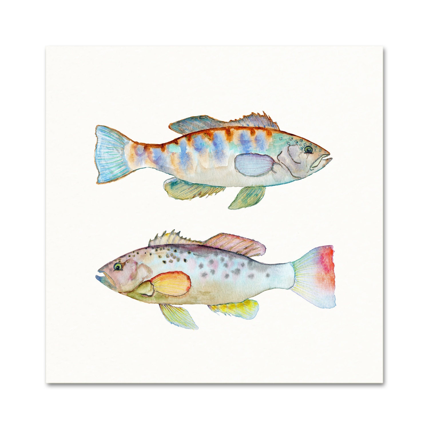 Colorful Watercolor Fish Art Print. Blue Fish Art. Watercolor