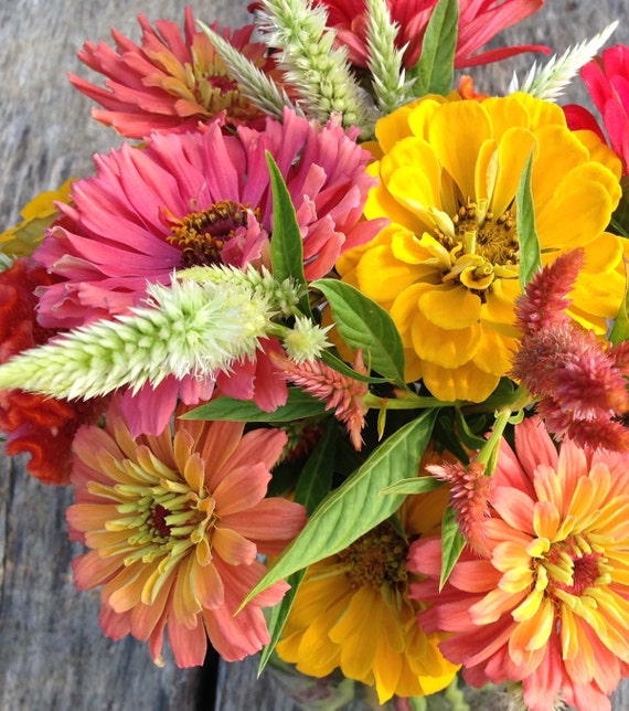 Garden Seed Kit Cut Flower Garden Seeds Great by mountainlilyfarm