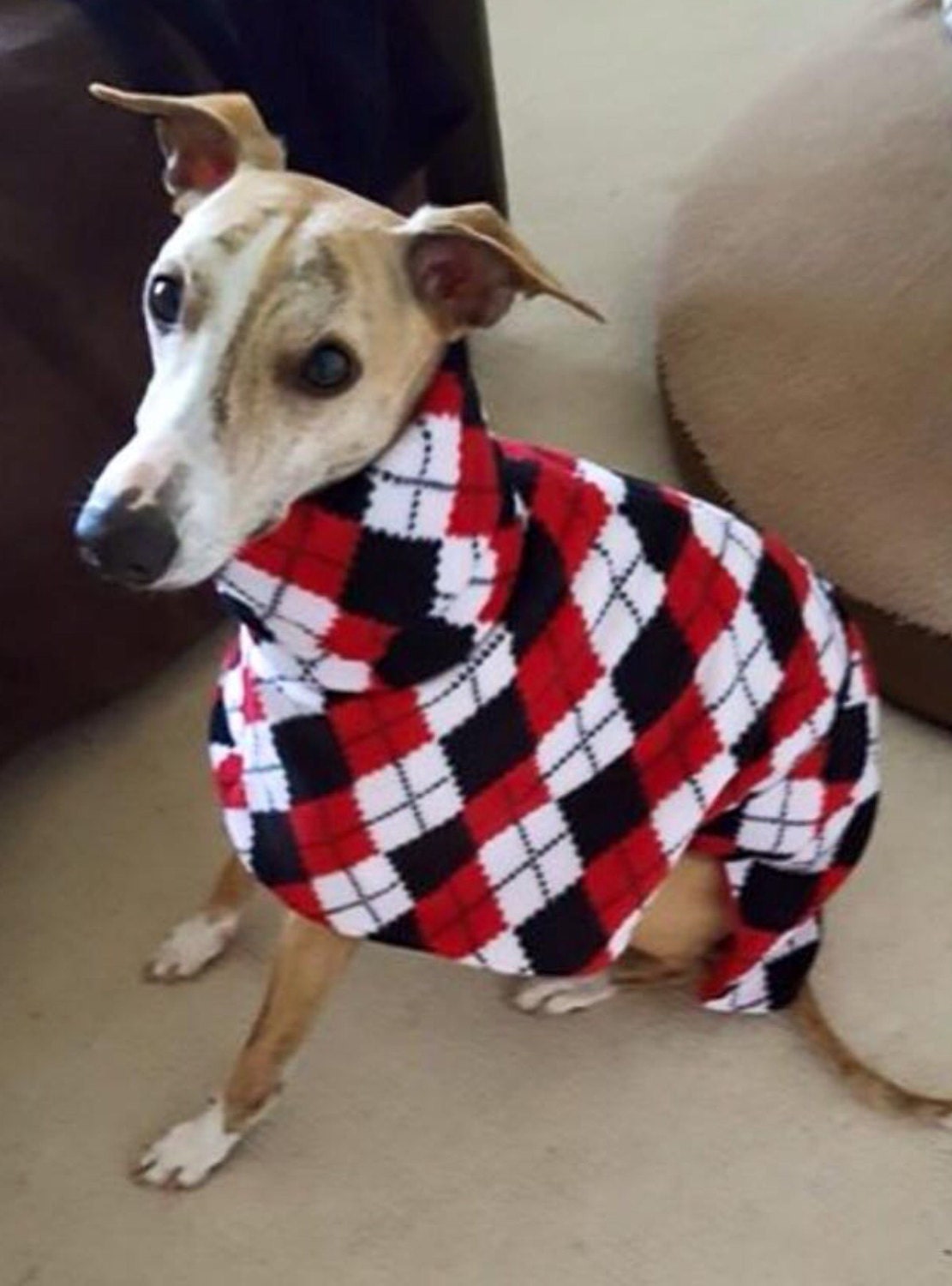 Greyhound Sweater Uk White Polo Italian Greyhound Clothing Fleece Long Sleeves T Shirt Stripe Navy Gray