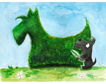 Scottie Dog Art Print Scottish Terrier 'Hedge Fun' #186