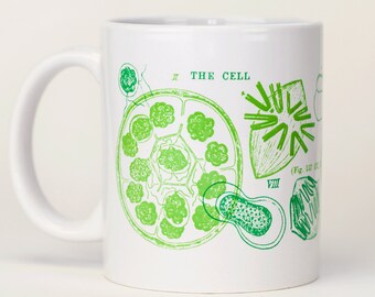 Cell Biology Mug | Ceramic Coffee Mug, Mitosis, Greys Anatomy, Scientific Illustration, Microbiology, Biologist Gift, Teacher Gift Scientist