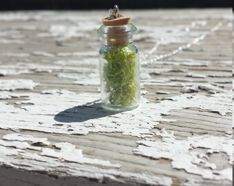 Tiny Terrarium Necklace
