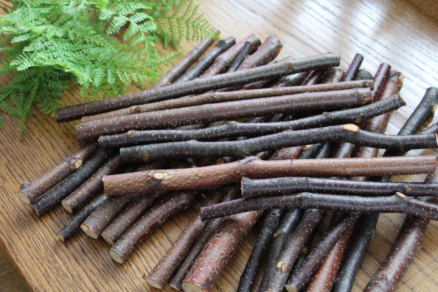 12'' Birch Sticks 25 / Black Birch Branches / Craft