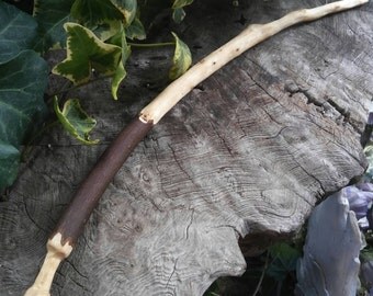 Wiccan Wand, Magic Wand, Baguette Magique, Avocado Wand, Egyptian Wand
