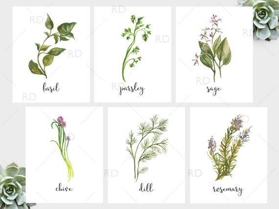 Items similar to Herb Watercolor Prints - PRINTABLE Wall Art / Six Herb ...
