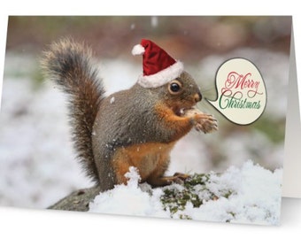 See the source image