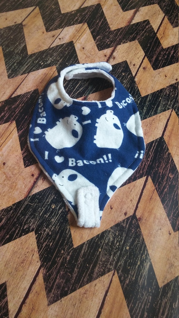 Pacifier bib Pacifier holder Binky bib Paci bib Teething