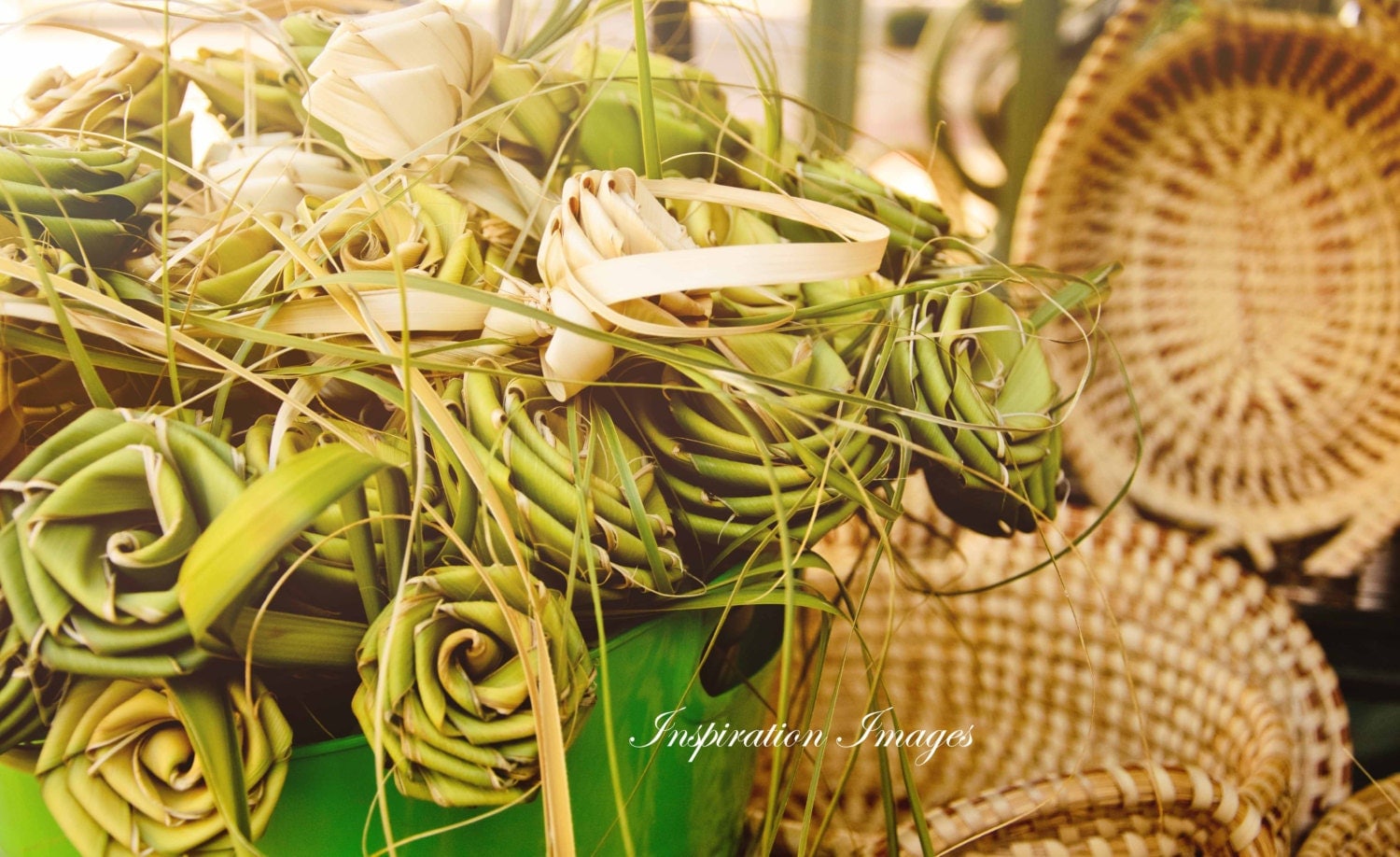 Palmetto Roses and Sweetgrass Baskets Charleston SC