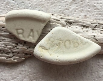 Ceramic Bases of Scottish Sea Pottery SP 14.6.16.9