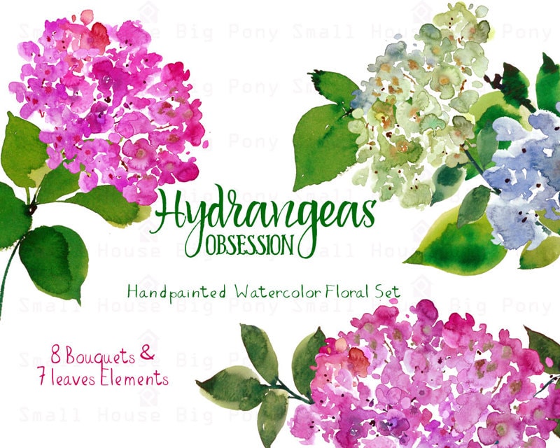 clip art hydrangea flower - photo #27