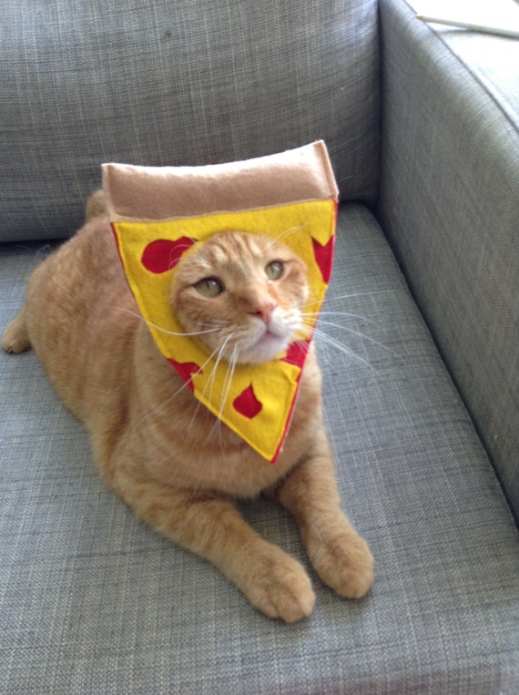 Pizza Cat Costume for Cats © by MissMaddyMakes on Etsy