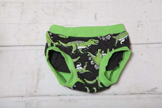 Items similar to Dinosaur Underwear/Toddler Boy Undies on Etsy