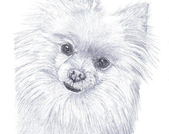 MALTESE dog Limited Edition art drawing print signed by UK