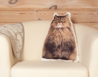 persian cat pillow
