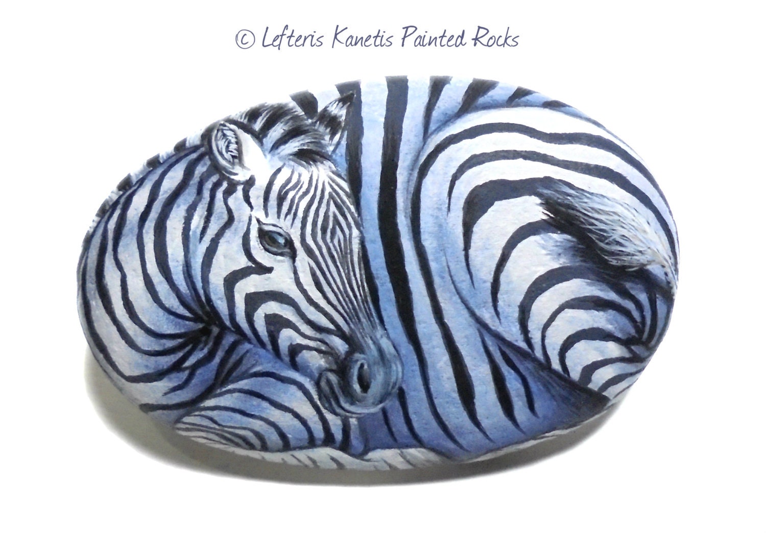 Zebra Hand Painted Rock Wild Animals Painting by RockArtAttack