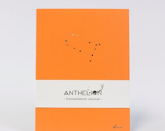 Gemini Zodiac Sign Pantone Inspired Constellation Journal