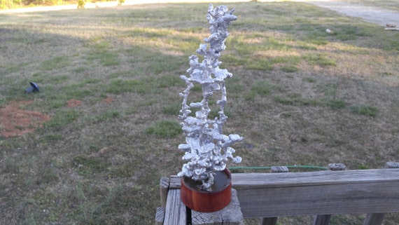 Fire Ant Colony Mold Aluminum 0108