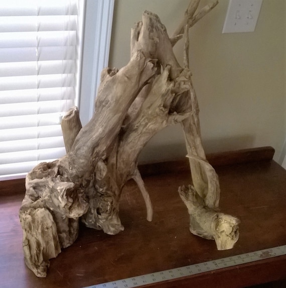 Extra Large Driftwood Aquarium Terrarium Decor. by FormFromForage