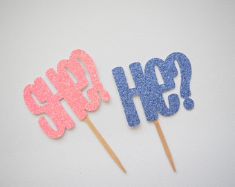 Gender Reveal Cupcake Toppers, Pink & Blue Cupcake Toppers, Gender Reveal Decor, He Or She Cupcake Toppers