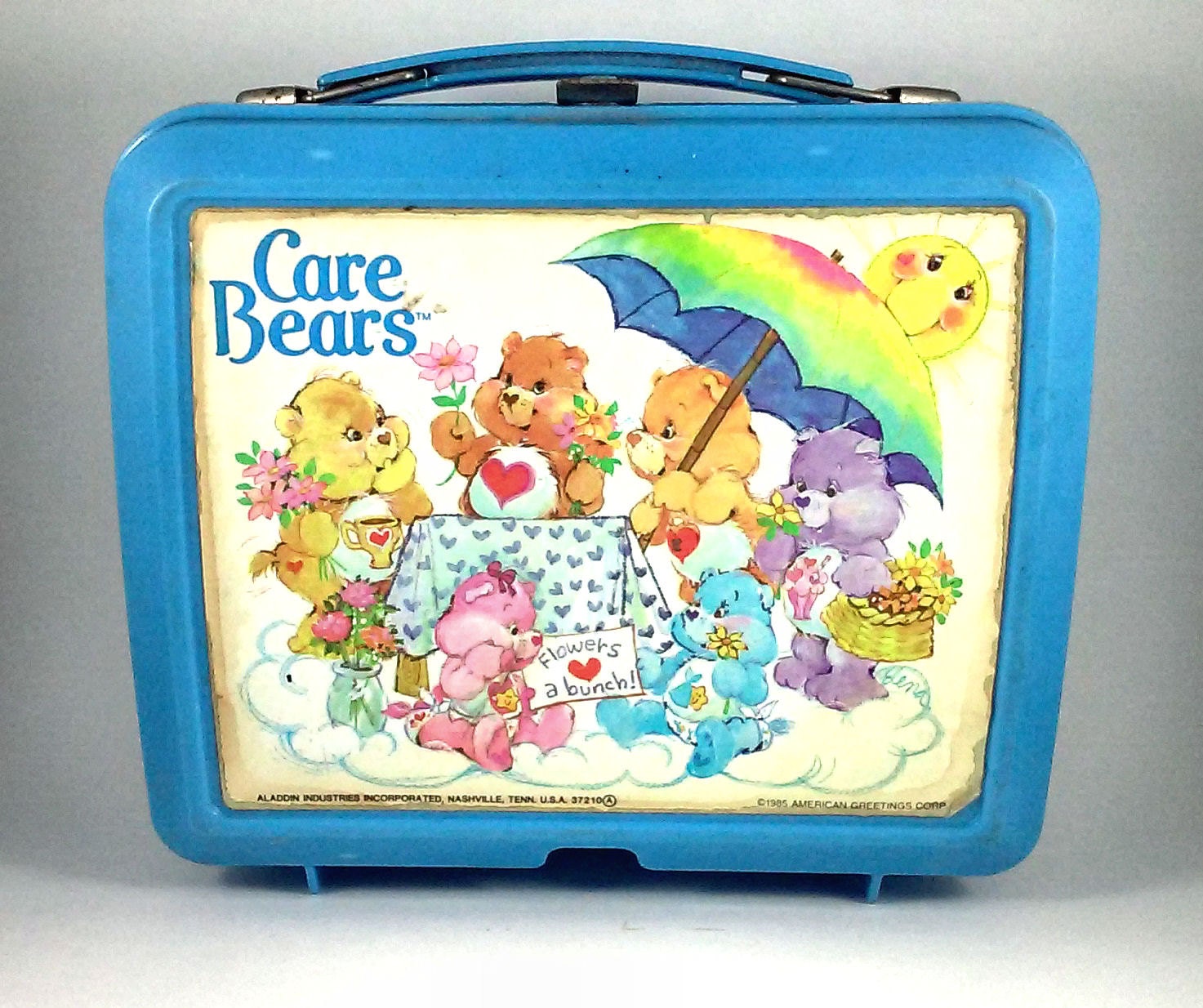 care bears plastic lunch box