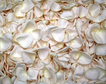 Freeze Dried Rose Petals, Ivory, 10 cups of REAL rose petals, perfectly preserved