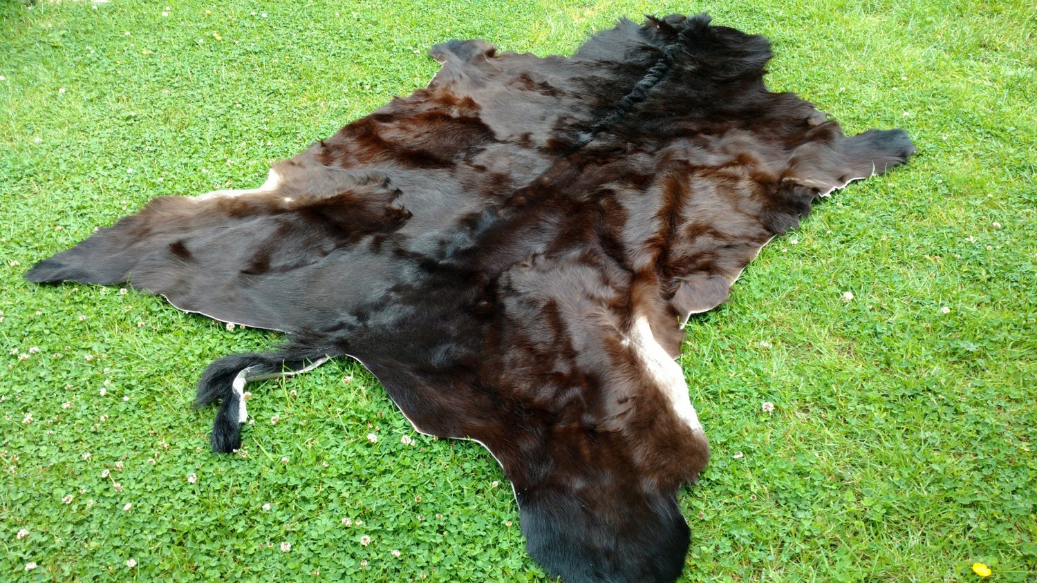 Real Horse hide 100 natural pelt area rug brown