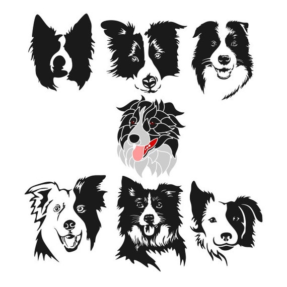 Download Border Collie Cuttable Design SVG DXF EPS use with
