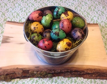 Quail Eggs - Dusky Bold Mix - 15 Dyed Eggshells