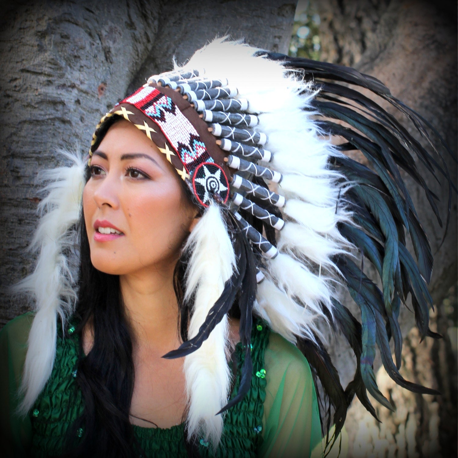 INDIAN HEADDRESS Chief War bonnet Costume Native American
